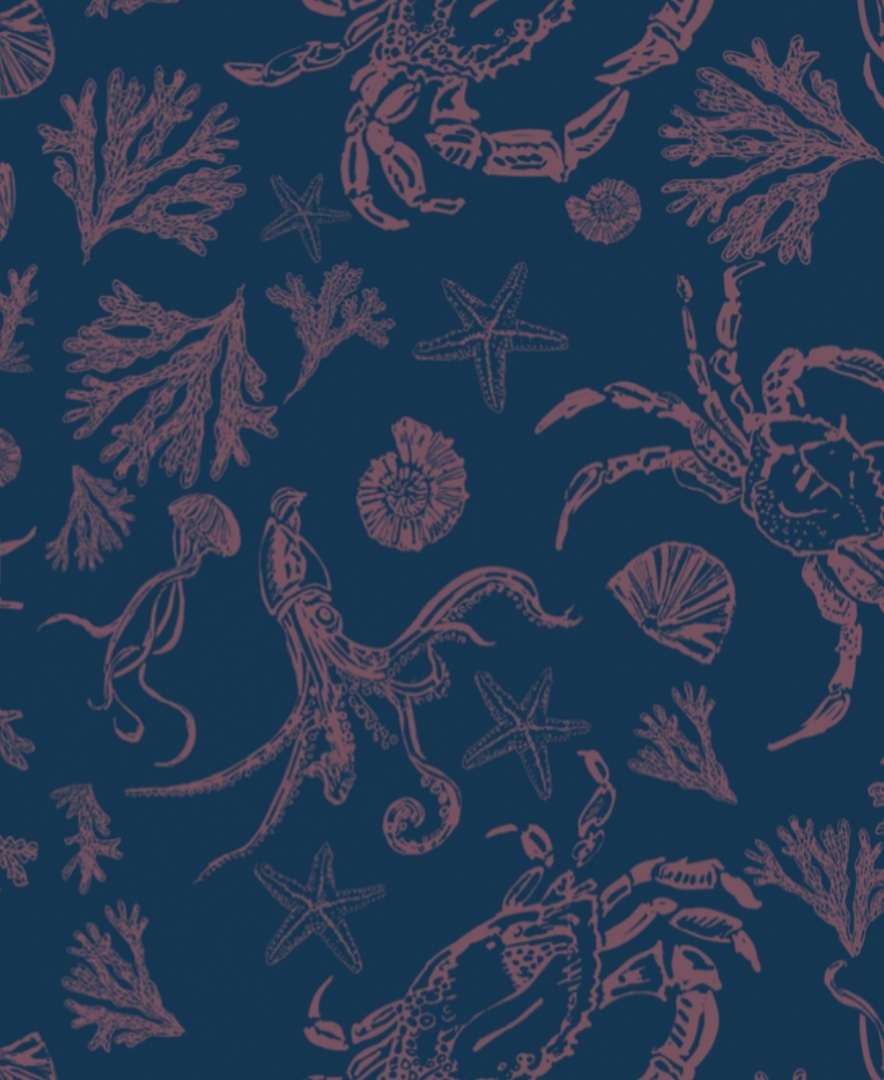 Kāpiti Coast sleepwear for men