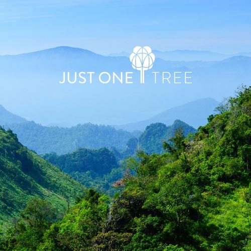 We’re Planting a Tree with Every Order — Because the World Needs to Breathe