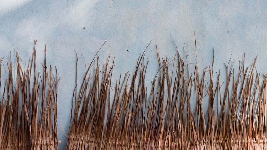 Background header image dried plants
