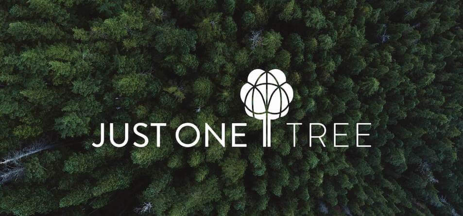 Trees background with Just One Tree logo